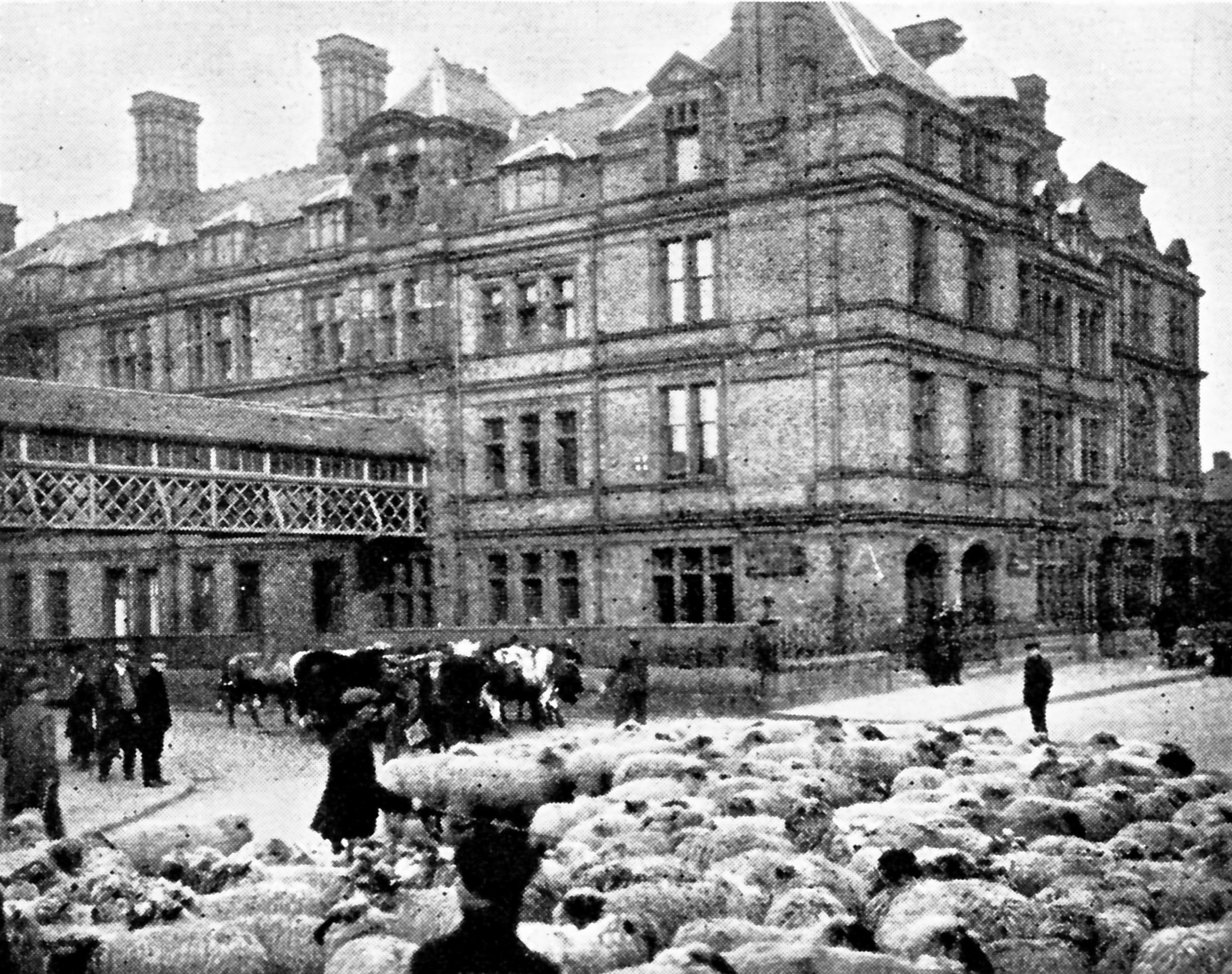 Photo of LMS Offices, Dublin