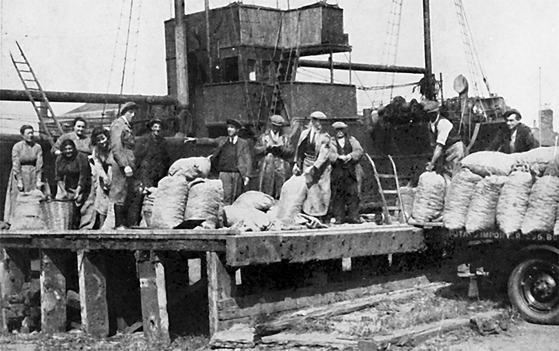 Photo of Unloading Potatoes From Steamer